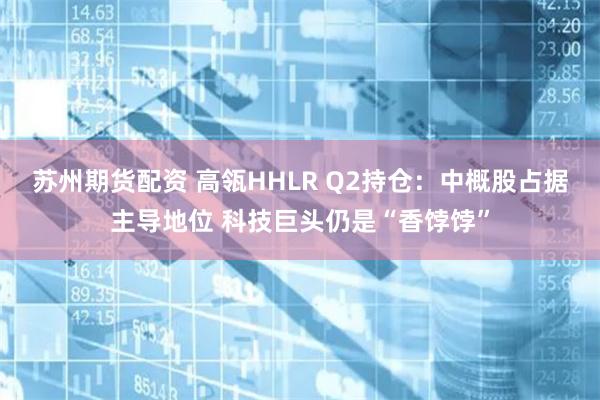 苏州期货配资 高瓴HHLR Q2持仓：中概股占据主导地位 科技巨头仍是“香饽饽”