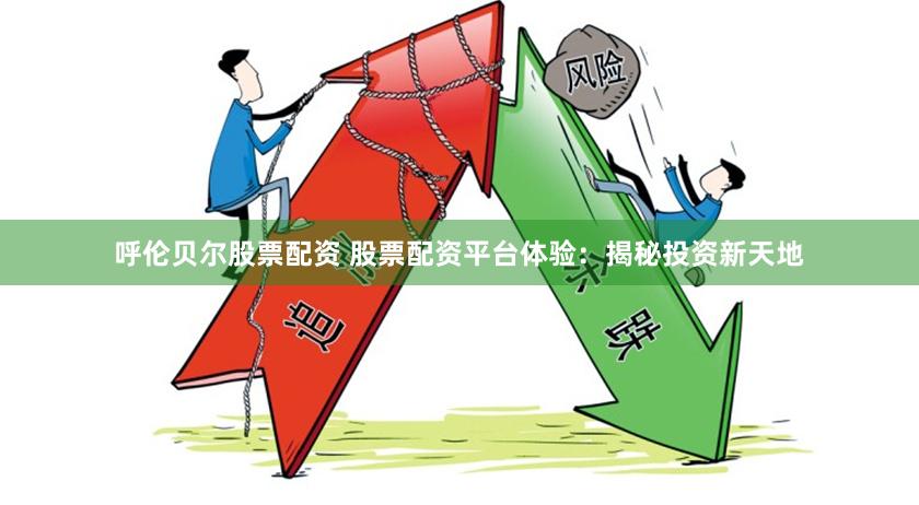呼伦贝尔股票配资 股票配资平台体验：揭秘投资新天地